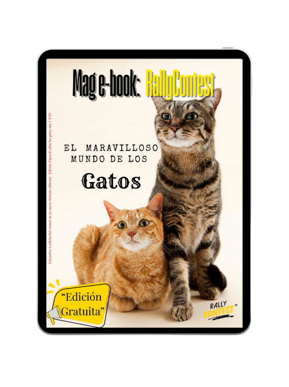 diseño sin título (1)